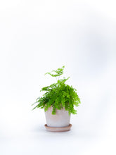 products/IMG_3807.jpg